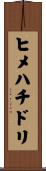 ヒメハチドリ Scroll
