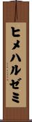 ヒメハルゼミ Scroll