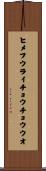 ヒメフウライチョウチョウウオ Scroll