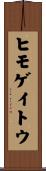 ヒモゲイトウ Scroll