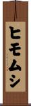 ヒモムシ Scroll