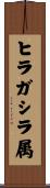 ヒラガシラ属 Scroll