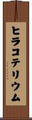 ヒラコテリウム Scroll