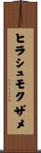 ヒラシュモクザメ Scroll
