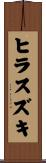 ヒラスズキ Scroll