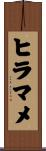 ヒラマメ Scroll