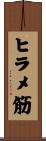 ヒラメ筋 Scroll