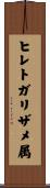 ヒレトガリザメ属 Scroll