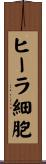 ヒーラ細胞 Scroll