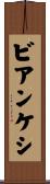 ビアンケシ Scroll