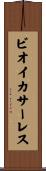 ビオイ・カサーレス Scroll