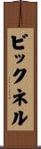 ビックネル Scroll