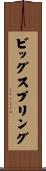 ビッグスプリング Scroll