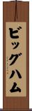 Bigham Scroll