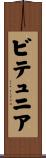 ビテュニア Scroll
