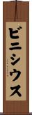 ビニシウス Scroll