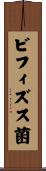 ビフィズス菌 Scroll
