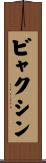 ビャクシン Scroll