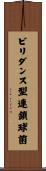 ビリダンス型連鎖球菌 Scroll