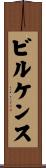 ビルケンス Scroll
