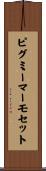 ピグミーマーモセット Scroll