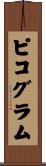 ピコグラム Scroll