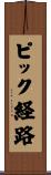 ピック経路 Scroll