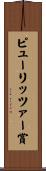ピューリッツァー賞 Scroll