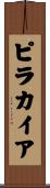 ピラカイア Scroll