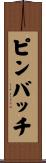 ピンバッチ Scroll