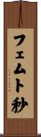 フェムト秒 Scroll