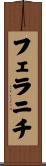 フェラニチ Scroll