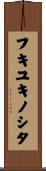 フキユキノシタ Scroll
