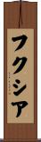 フクシア Scroll