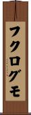 フクログモ Scroll