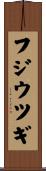 フジウツギ Scroll
