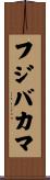 フジバカマ Scroll
