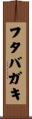 フタバガキ Scroll