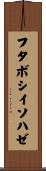 フタボシイソハゼ Scroll