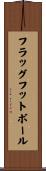 フラッグフットボール Scroll