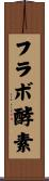 フラボ酵素 Scroll