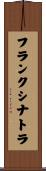 フランクシナトラ Scroll