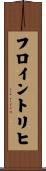 フロイントリヒ Scroll