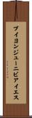 ブイヨンジューニビアイエス Scroll