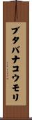 ブタバナコウモリ Scroll