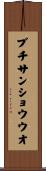 ブチサンショウウオ Scroll