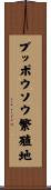 ブッポウソウ繁殖地 Scroll