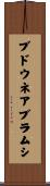 ブドウネアブラムシ Scroll