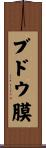 ブドウ膜 Scroll