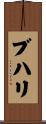 ブハリ Scroll